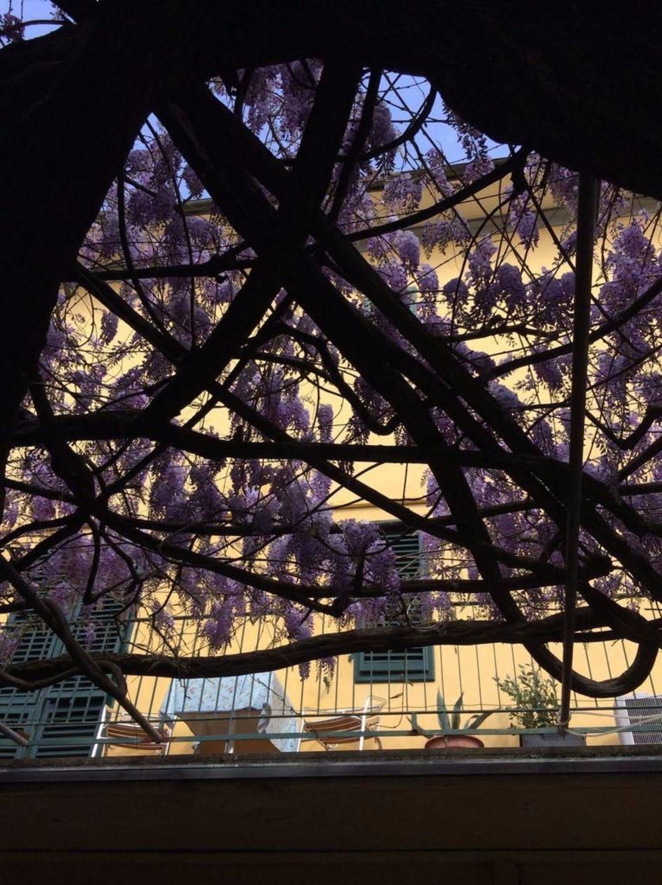 Hotel Stipino Lucca Exteriér fotografie