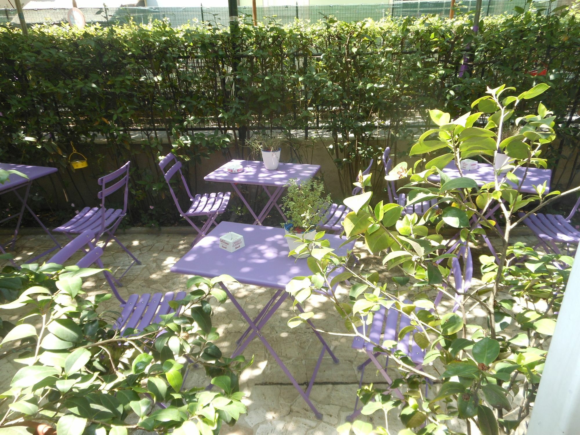 Hotel Stipino Lucca Exteriér fotografie