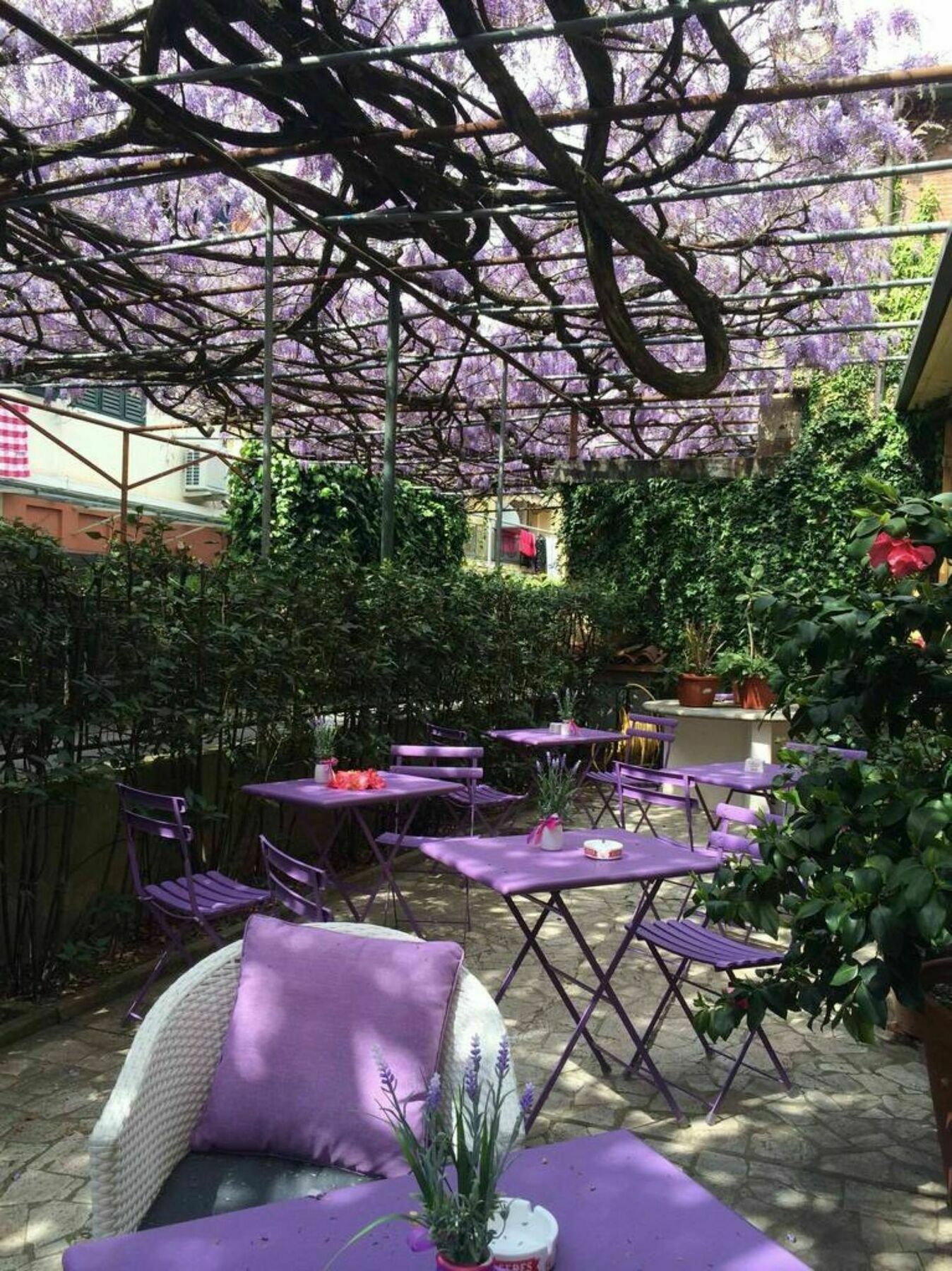 Hotel Stipino Lucca Exteriér fotografie
